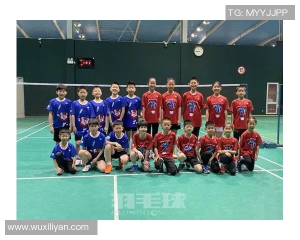 杭州羽毛球队团队协作的独特优势与其他球队的深度对比分析