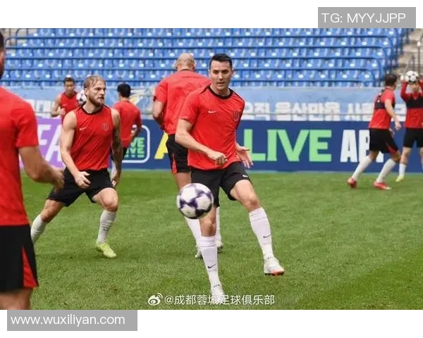 成都足球队的崛起之路：揭秘背后的力量与激情