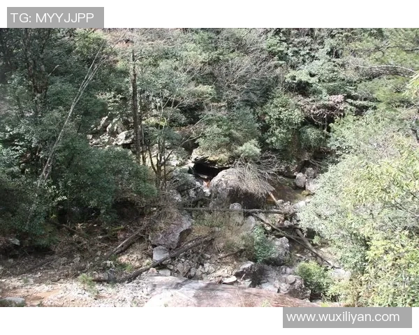 陈军独家分享攀岩心得与技巧助你征服高峰的秘诀与经验分享