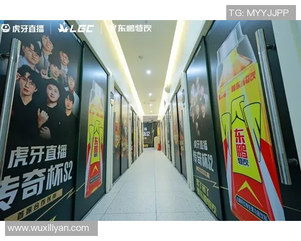 黄磊的游戏人生探秘：从深度对话看英雄联盟背后的故事与情感